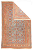 Area Rug 4006