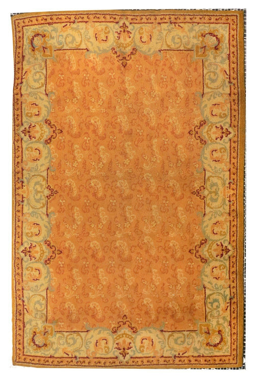 Area Rug 4007