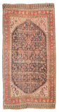 Area Rug 4019