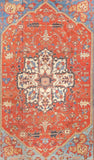 Area Rug 4023