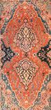 Area Rug 4204