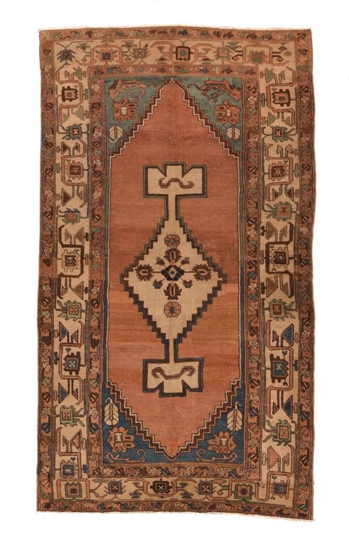 Area Rug 696