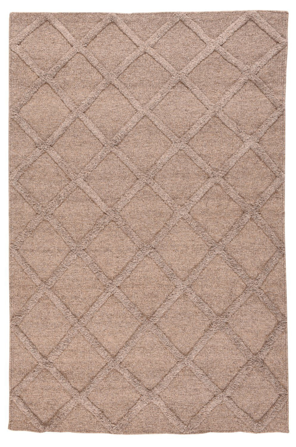 Area Rug 768