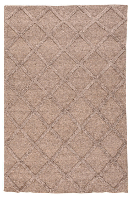 Area Rug 768