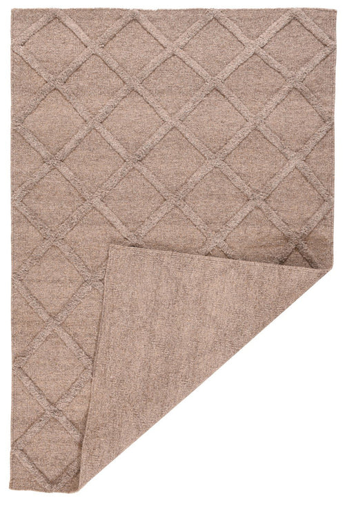 Area Rug 768