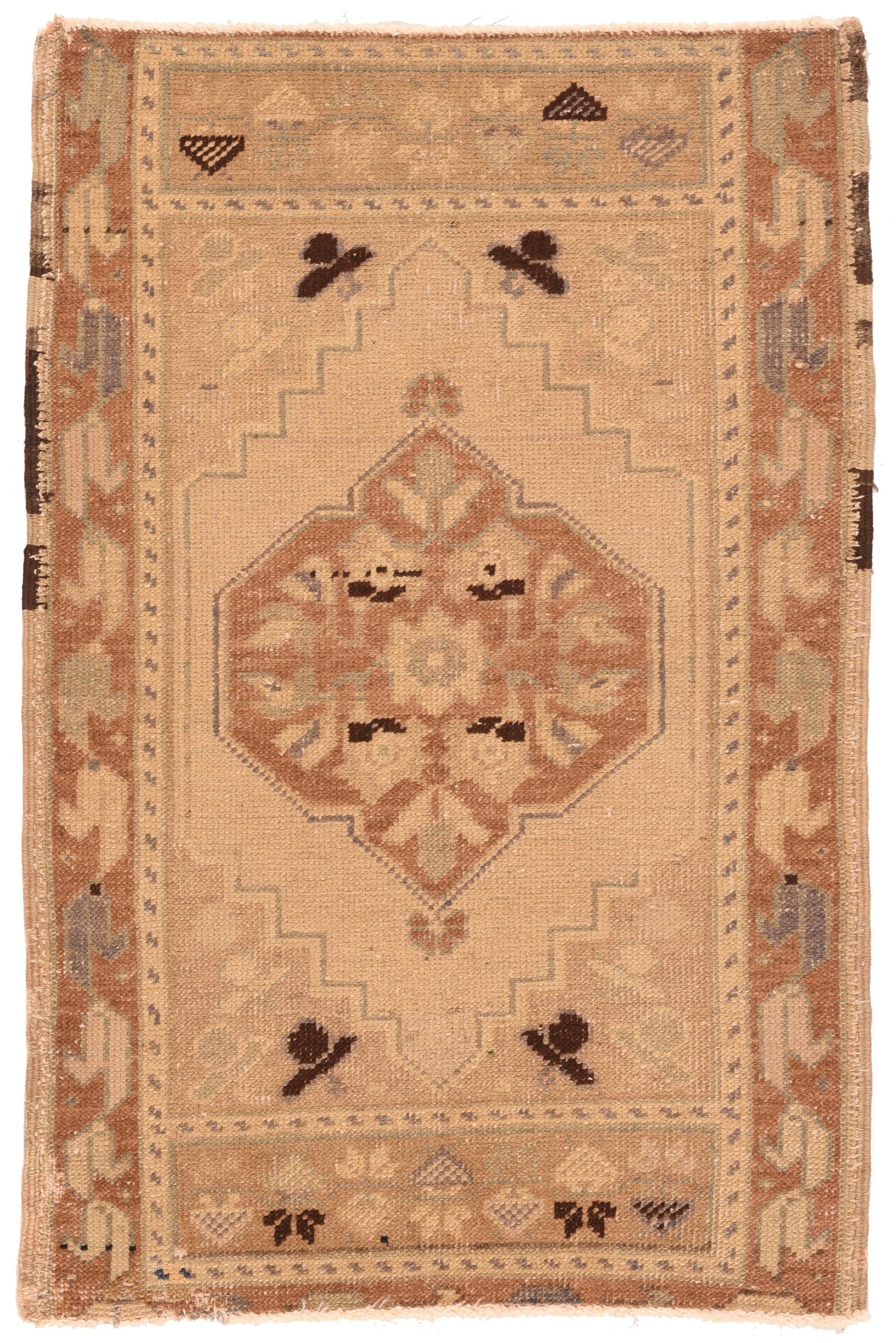 Antique Beige Turkish Area Rug